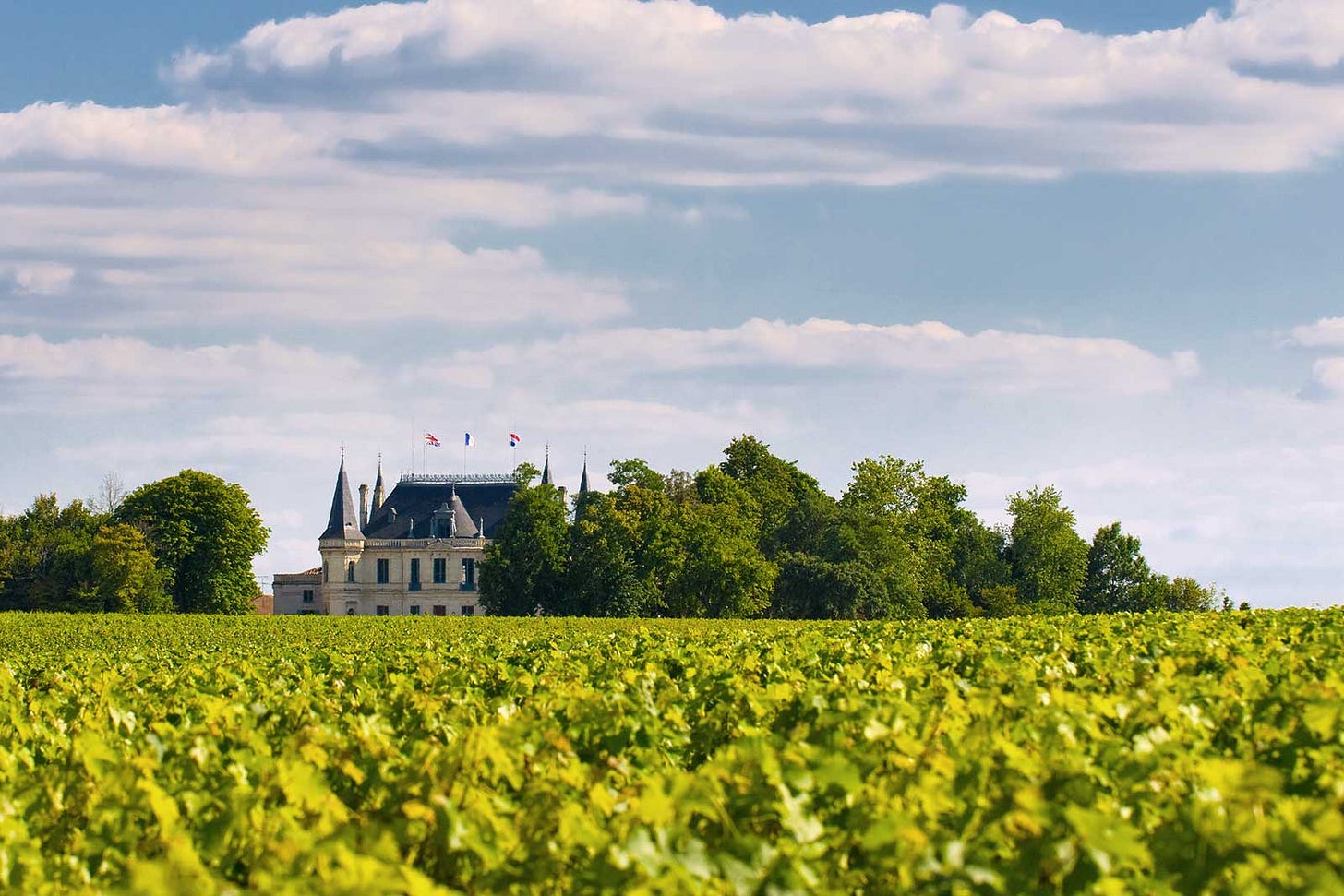 First-Taste Guide to Margaux – Bordeaux for Beginners | Opening a Bottle
