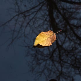 An Easter Meditation on Death and Resurrection