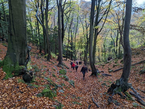 guided walks in wales