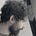 Ades Acharya's avatar
