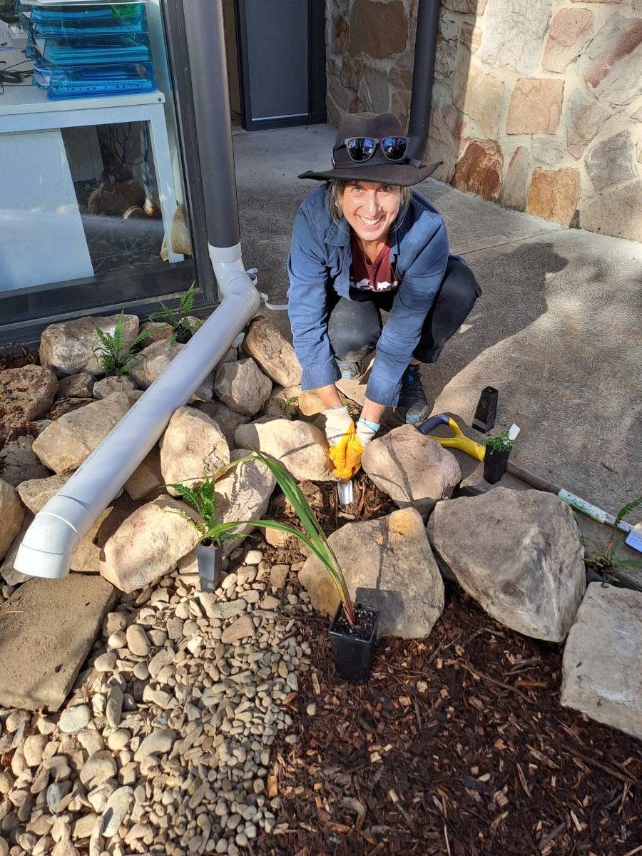 Education and Engagement Officer, Healthy Waterways, Gill Fitzgerald helps plant some of the 1000 seedlings which will function as natural bio filters for the rain garden Education and Engagement Officer, Healthy Waterways, Gill Fitzgerald helps plant some of the 1000 seedlings which will function as natural bio filters for the rain garden