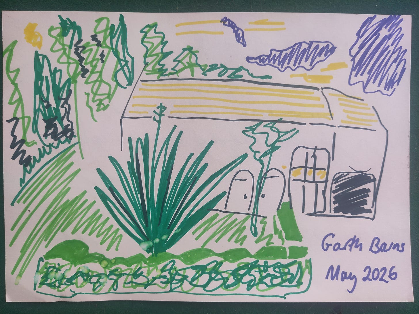 A felt tip drawing of a cottage surrounded by greenery, in a squiggly style.