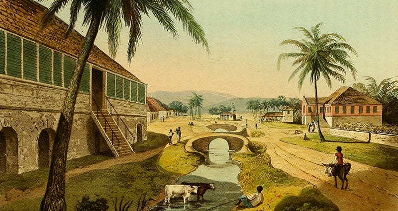 Rose Hall Great House Montego Bay | Choose Your Driver