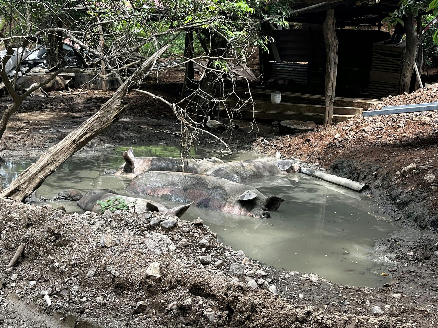 037: Loving What You Have, Having What You Love! 037: Loving What You Have, Having What You Love!