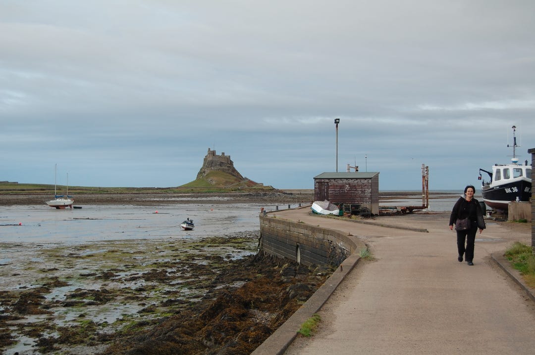 Lindisfarne, 2013