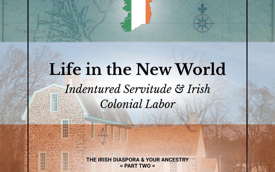 Life in the New World: Indentured Servitude & Irish Colonial Labor