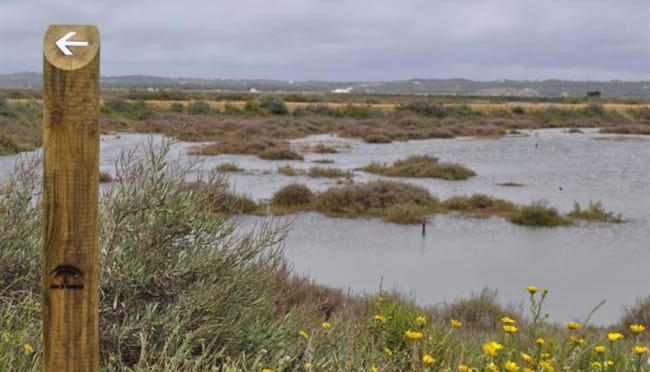 Le marais de la Isla Cristina sous un ciel gris, pas glam.