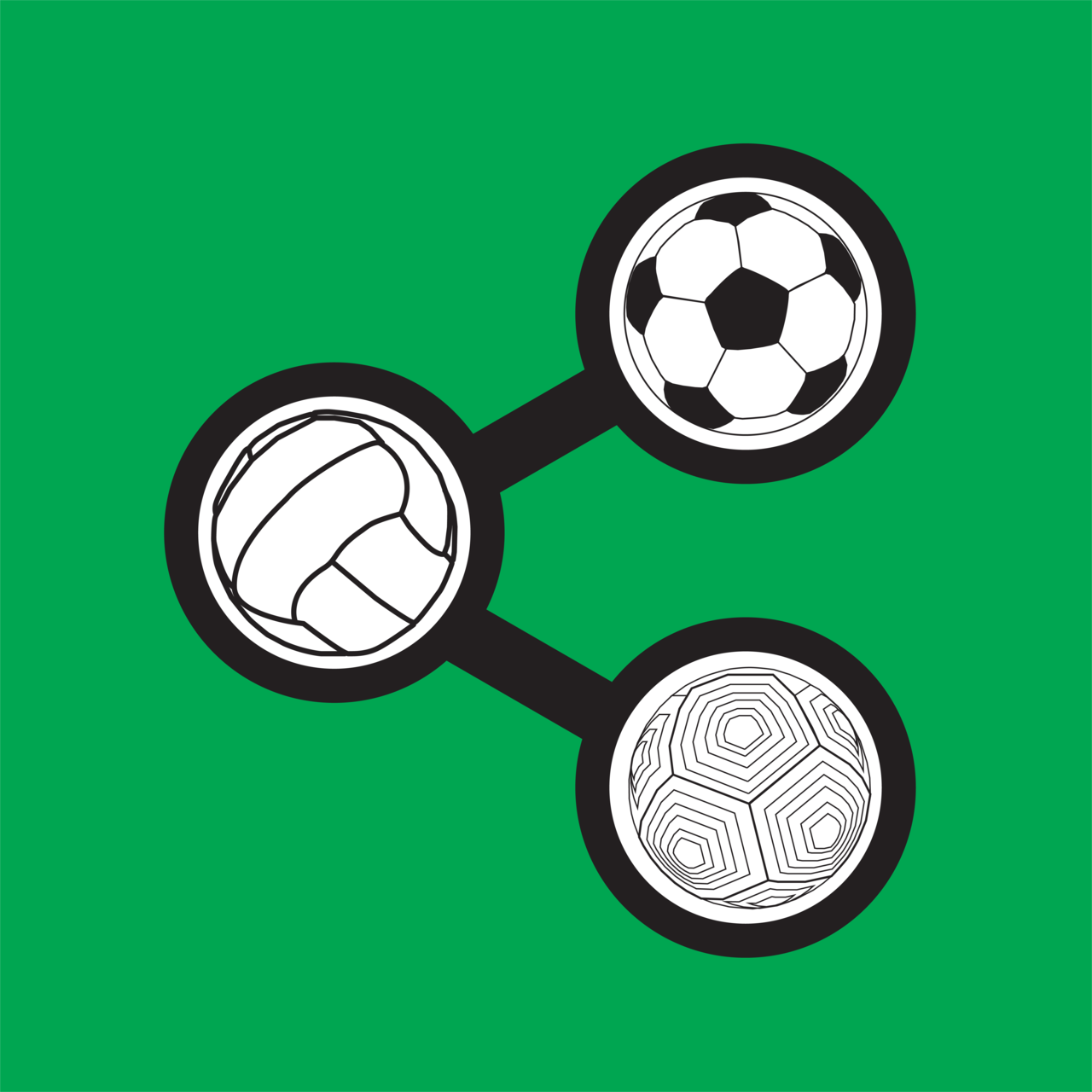 Soccer FC: Fandom and Culture