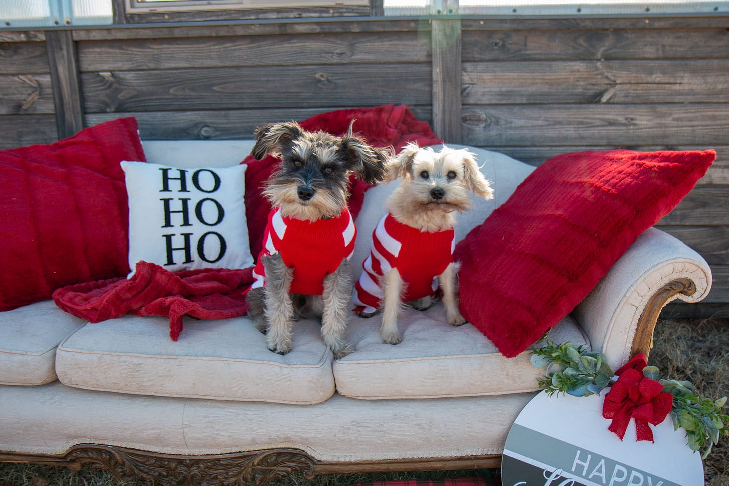 No photo description available.