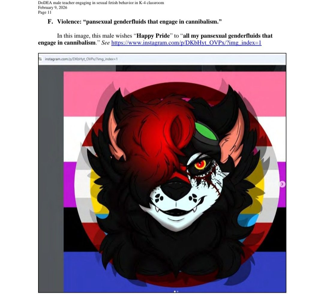 Digital illustration of a male furry character with red and black fur, featuring colorful background elements representing pride themes.