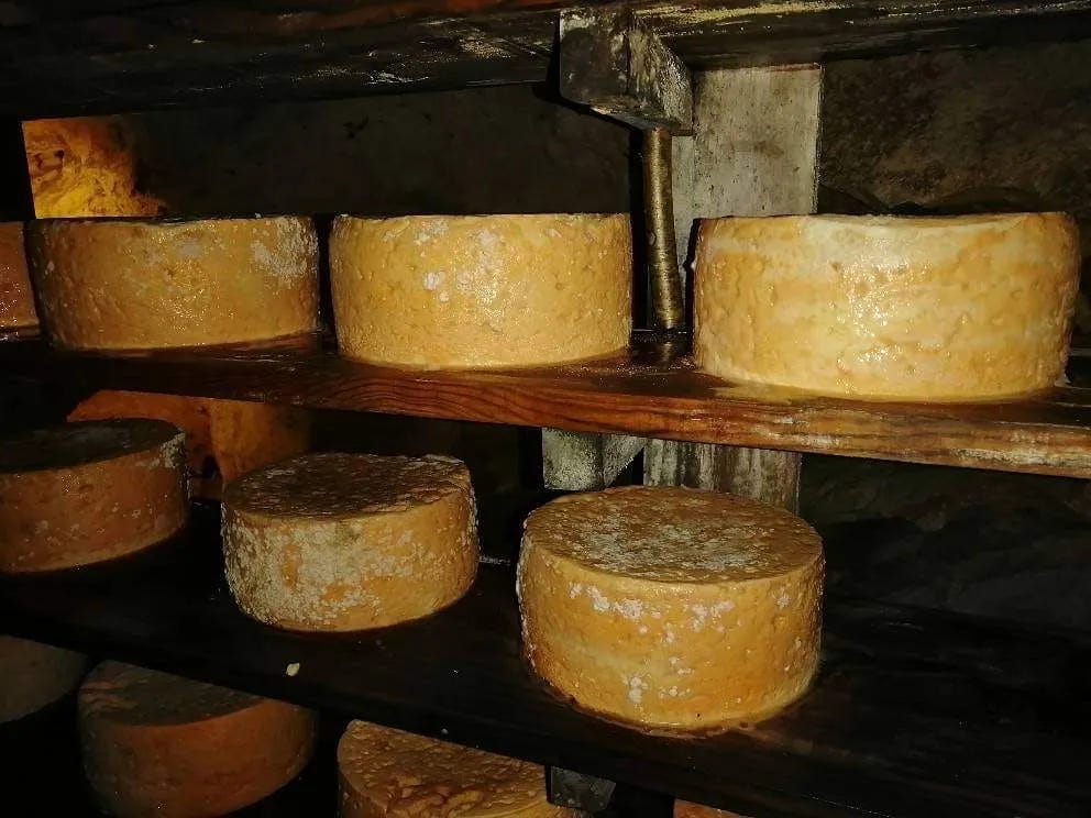 Queso de Cabrales
