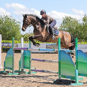 Bank Holiday weekend brings crowds to Connell Hill Training Show