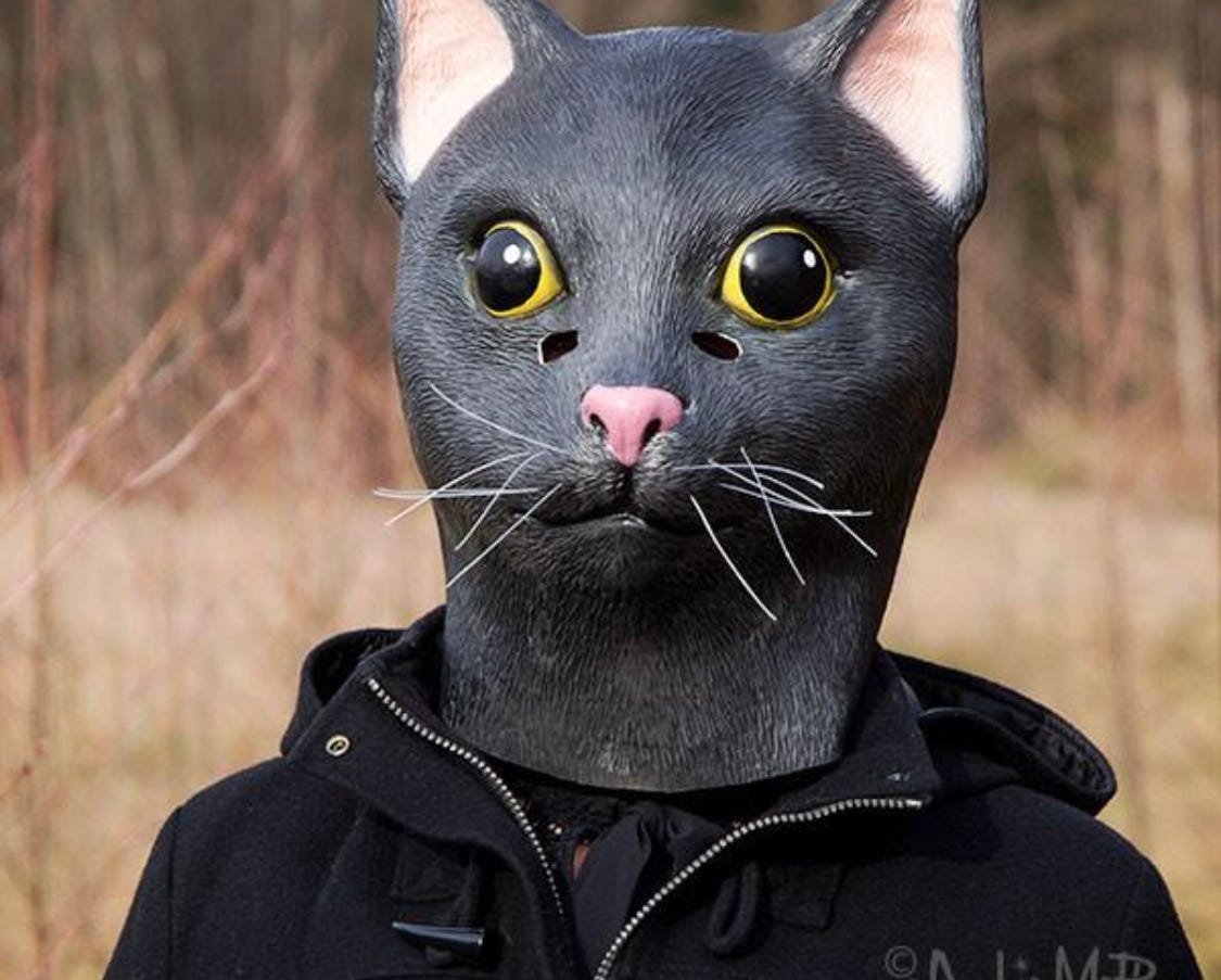 Substack profile picture for @kaiser