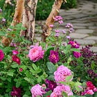 Debunked: gardening myths 