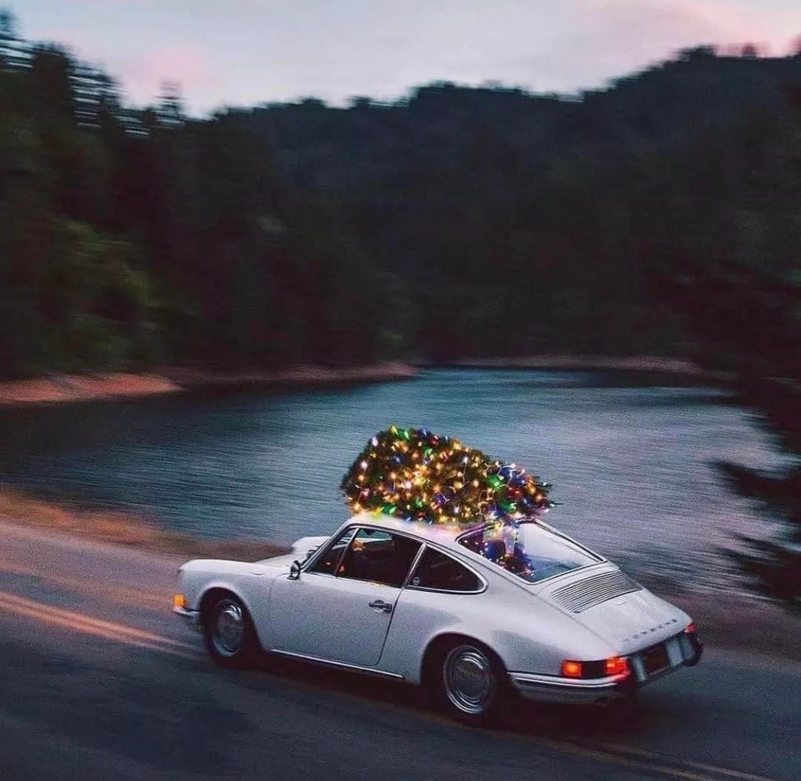 newsletter navidad Tamara Tossi newsletter navidad Tamara Tossi