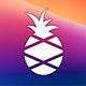 AI for Hospitality - Smart Pineapple