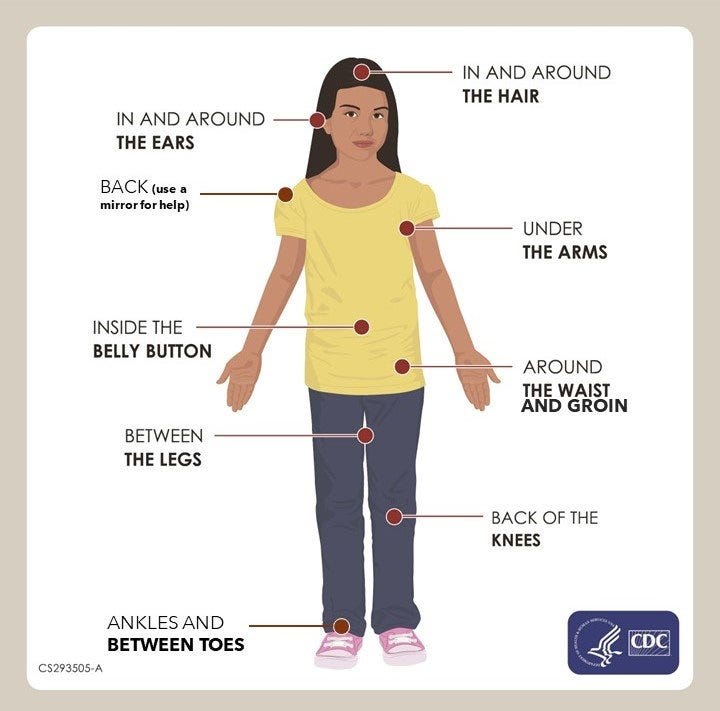 Where to check your body for ticks Where to check your body for ticks