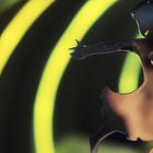 David: A Machine After Man's Own Heart