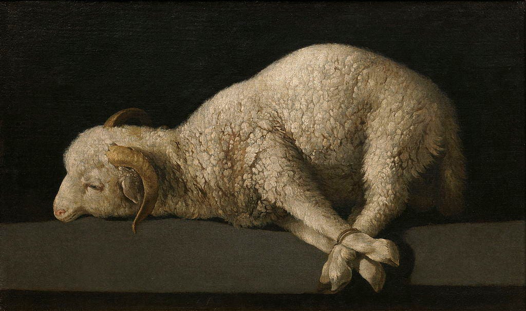 paschal lamb