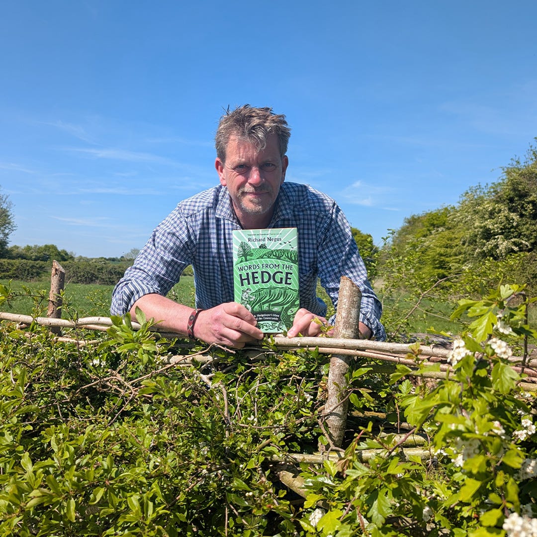 Words From The Hedge