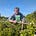 Richard Negus's avatar