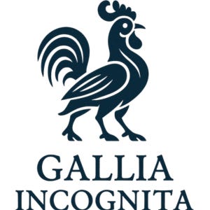 Leyla - Gallia Incognita