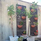 #27 - A jardinagem na minha vida