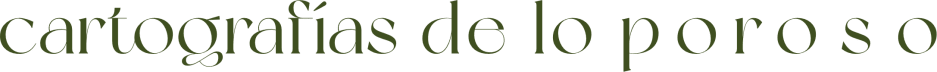 Cartografías de lo poroso