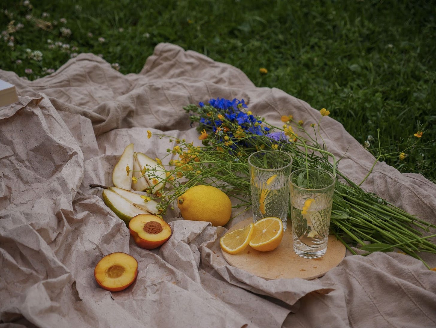 Low exposure photo with a lilac tarp on grass with two lemonade glasses next to wildeflowers, lemons, halved pears, and a halved peach