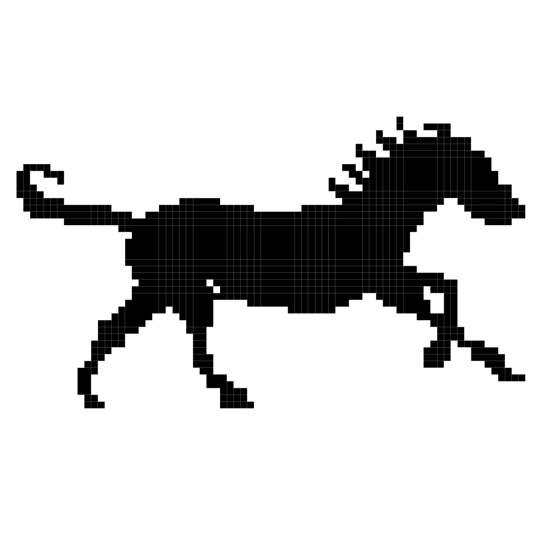 El año invisible de Cheroqui