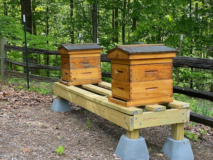 Beehive equipment and platform.