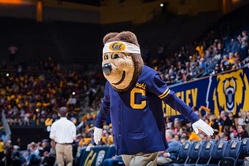 Birthday Bear: Iconic Oski turns 75 - Berkeley News