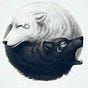 Wulfshado's avatar
