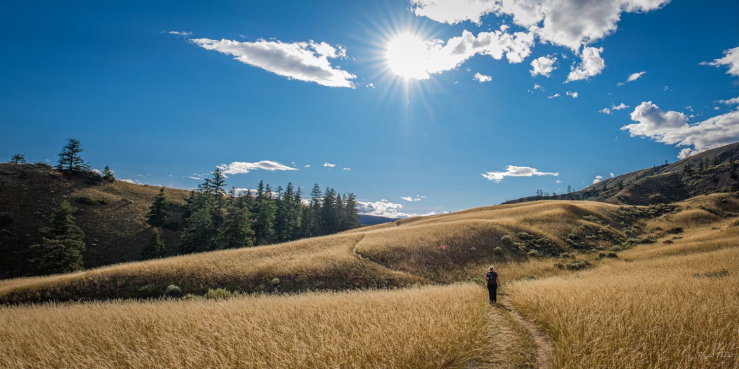 A person walking along a path through a hilly meadow on a sunny day.