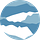 Kilian Jornet Foundation