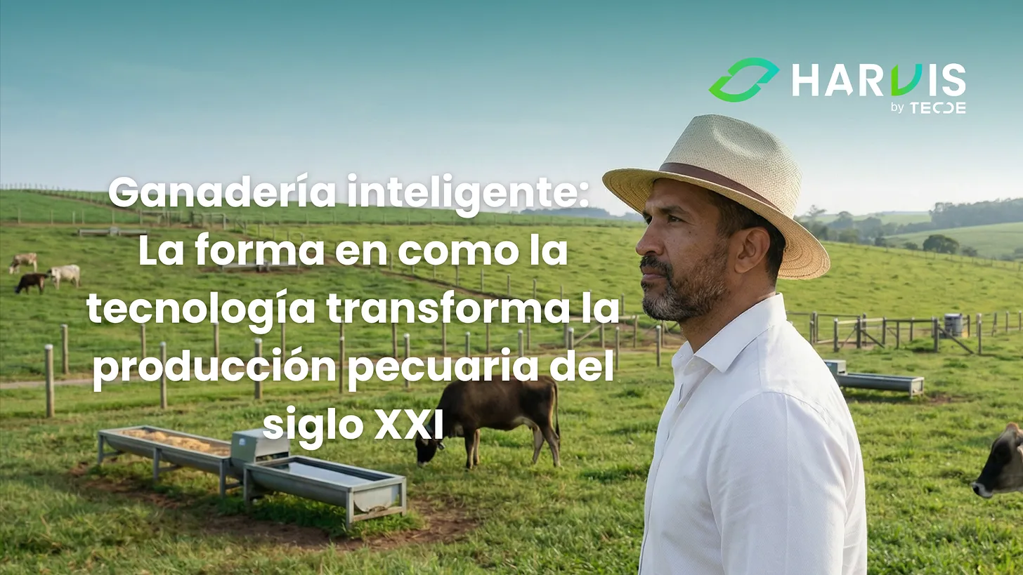 Ganadería inteligente: La forma en como la tecnología transforma la producción pecuaria del siglo XXI