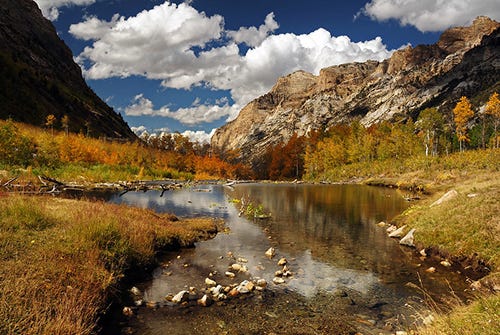 Humboldt-Toiyabe National Forest - Home