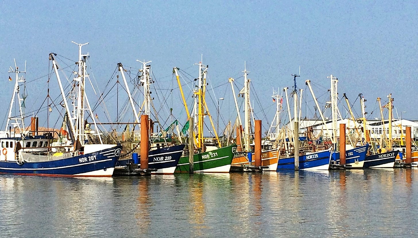 fishing boats in the harbour fishing boats in the harbour
