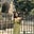 Sai Aparna's avatar