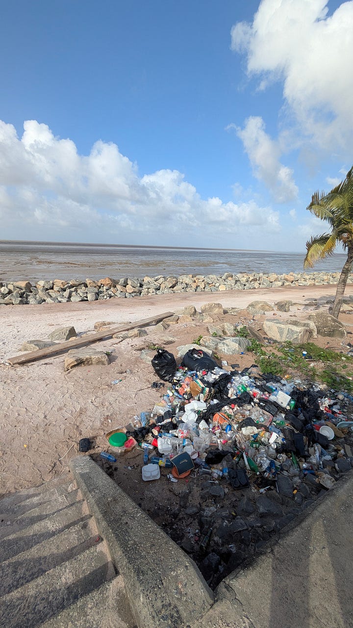 (It's a photo of a lot of trash/rubbish)