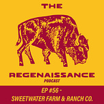 The Regenaissance