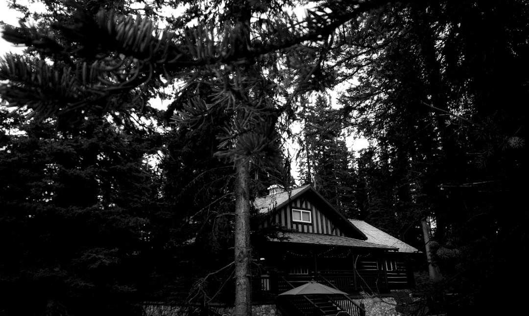 a house in the woods with snow on the roof
