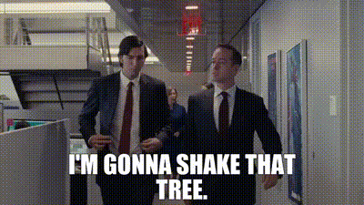 The voice of your insecurity