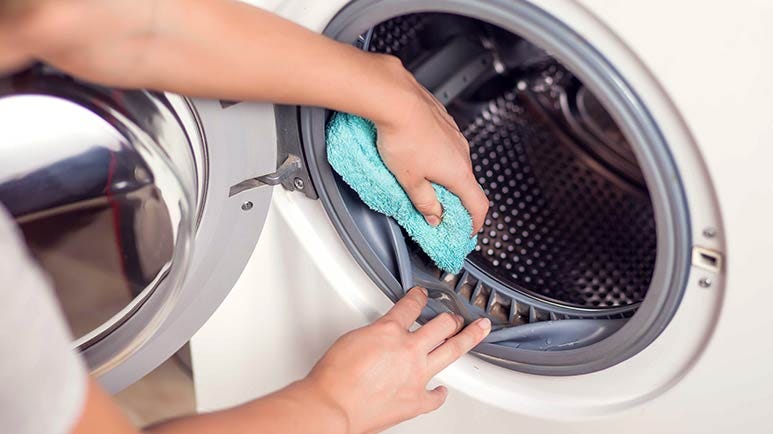 bacteria growing in washing machine
