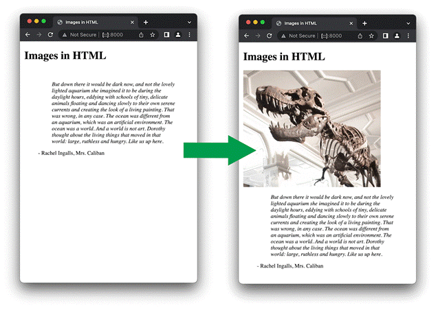 HTML Image Display: Essential Guide to Web Image Implementation