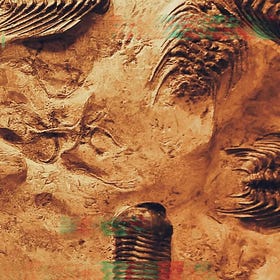 Evolvable AI: are we on the brink of the next major evolutionary transition?