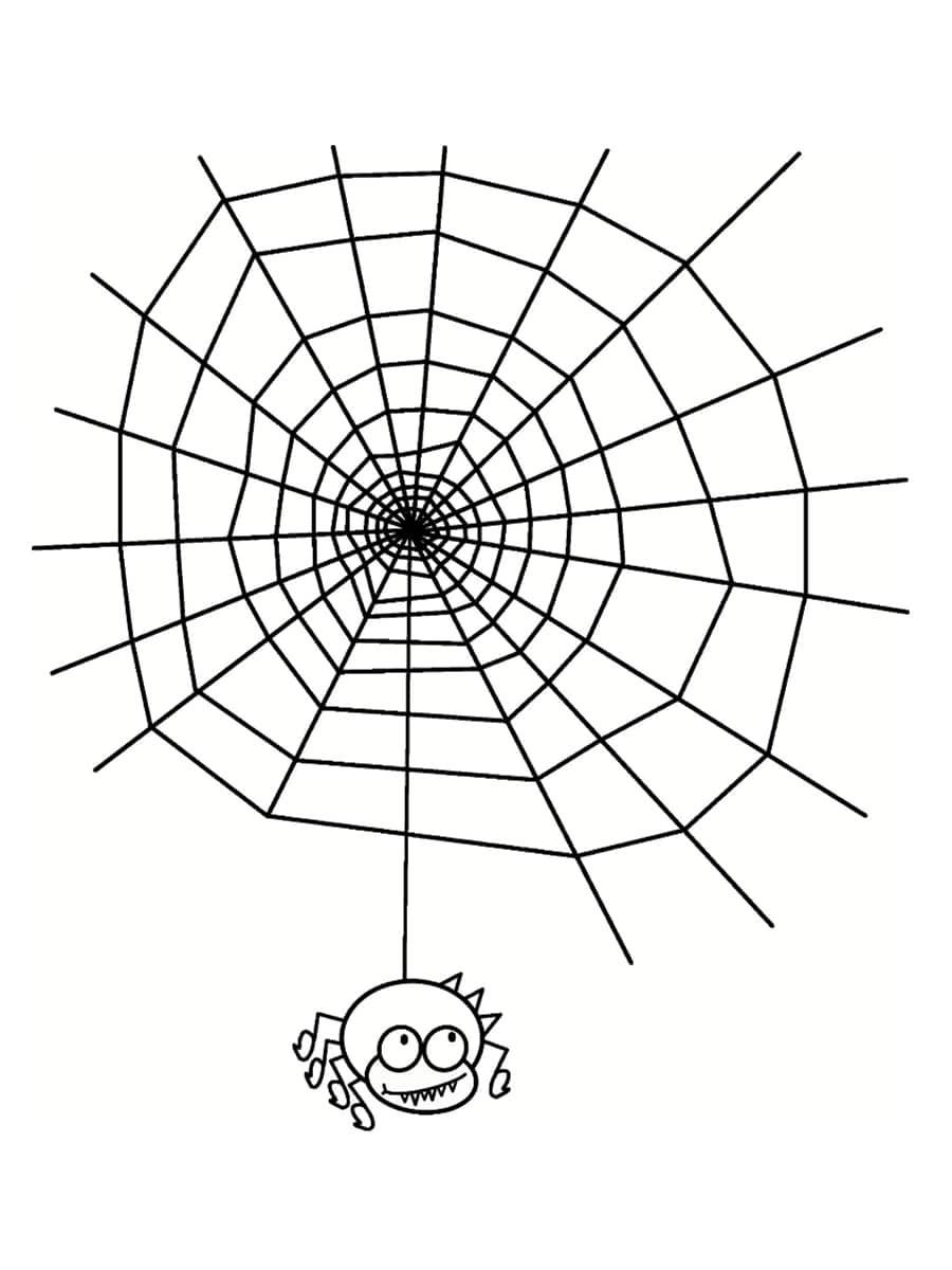 Coloriage araignée : 30 dessins à imprimer