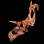 The Paleontology Author's avatar