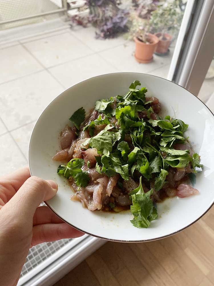 carpaccio maquereau