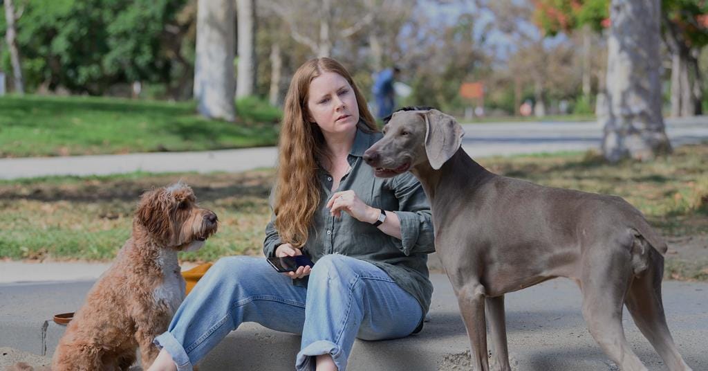 Still from the 2024 film Nightbitch. A woman with long auburn hair, dressed casually in a green button-up shirt and jeans, sits outdoors in a park. She looks thoughtfully at two dogs—one a large gray Weimaraner standing near her and the other a smaller, curly-haired dog seated nearby. The scene is set on a sunny day with lush green trees and a walking path in the background, creating a serene atmosphere.